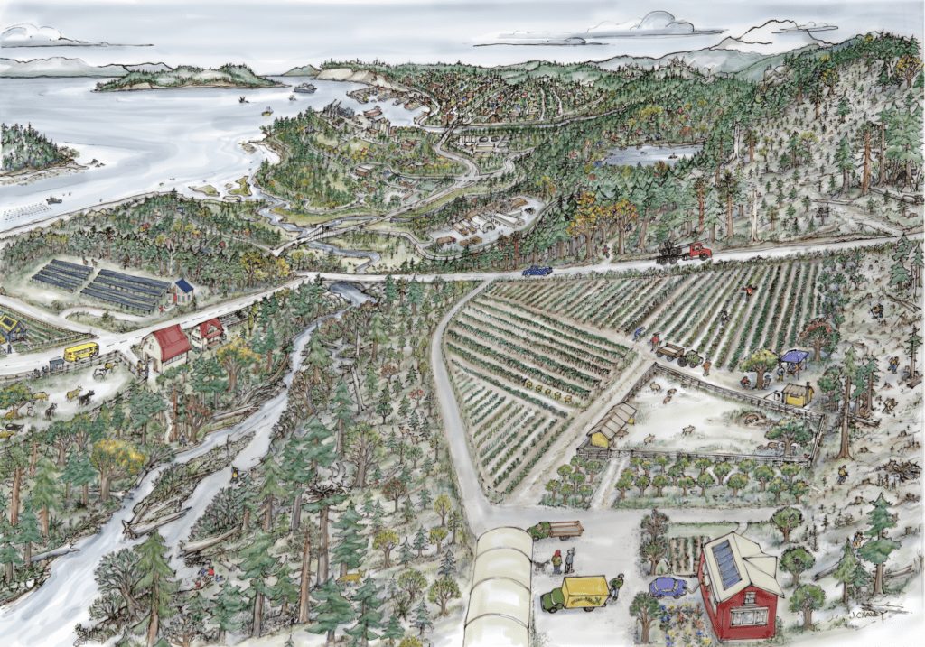 landscape illustration of a climate resilient northwest washington