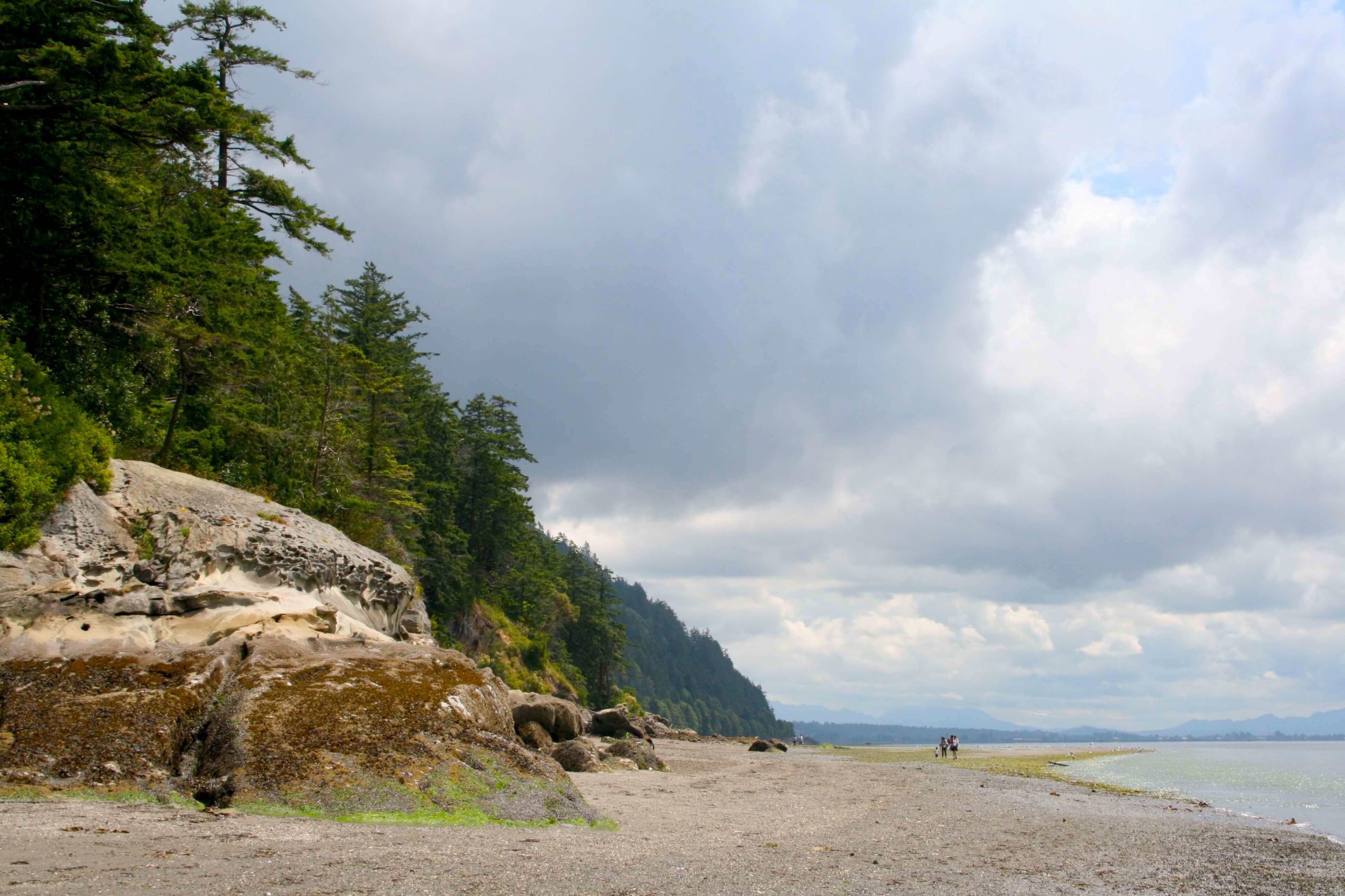 One of the best beaches in Whatcom County, Clayton Beach. A sandy beach with large rock formations and a tree line extending toward the horizon.