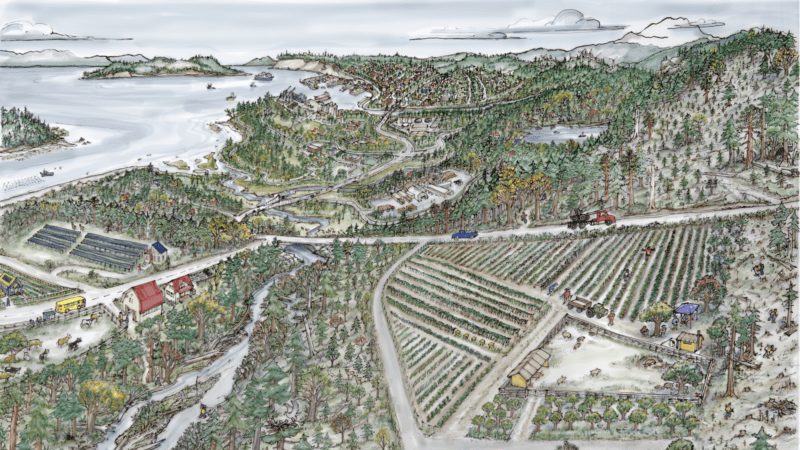 landscape illustration of a climate resilient northwest washington