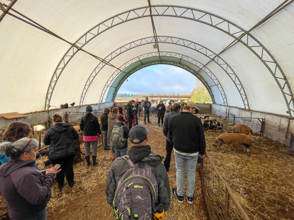 Educators standing near pig stalls in a semi-enclosed shelter